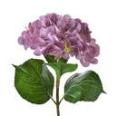 Kunstblumen Violett Grün Ø 13x67 cm