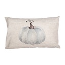 Federe Cuscini Beige Grigio 30x50 cm