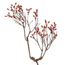 Deko Ast Braun Orange 30x4x85 cm