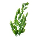 Decorative Artificial Branch Green 8x8x75 cm