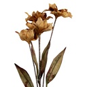 Decorative Artificial Branch with flowers Brown Green 8x5x60 cm