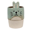 Blumentopf für Innen Grün Beige Ø 11x17 cm