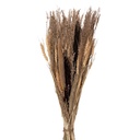 Droogbloemen 18x6x60 cm
