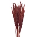 Droogbloemen bamboe 100 cm (10)