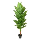 Decoratie kamerplant 50x50x180 cm