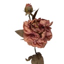 Decoratie tak met bloemen 14x17x73 cm