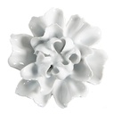 Deurknop Ø 6x3/6 cm
