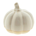 Decoratie pompoen Ø 7x6 cm