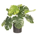 Decoratie plant Monstera Deliciosa 42x42x40 cm