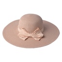 Hoed 56 cm roze