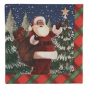 Paper napkins Blue Red 25x25 cm (20)