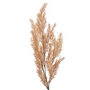 Deko Ast Beige 10x4x75 cm