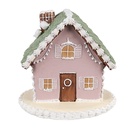 Decoratie huis 13x13x12 cm