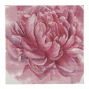 Tovaglioli di carta Rosa Bianco 33x33 cm (20)