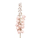 Decoratie tak met bloemen 12x12x100 cm