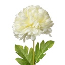 Fleur artificielle Blanc Vert 15x15x80 cm