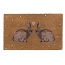 Deurmat 75x45x1 cm