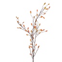 Decoratie tak 145 cm