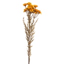 Decoratie tak met bloemen 77 cm