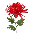 Decorative branch with flowers Red Green 76 cm