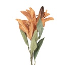 Rami Artificiali Decorativi con fiori Marrone Verde 12x16x88 cm