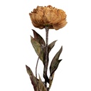 Fleur artificielle Jaune Vert 10x10x65 cm