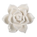 Poignée de porte Blanc Marron Ø 5x4 cm / S3 cm