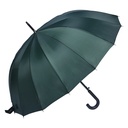 Regenschirm Erwachsene Grün 60 cm