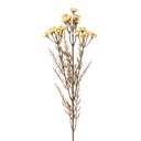 Branche de décoration avec fleurs Blanc 77 cm
