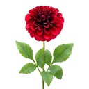Rami Artificiali Decorativi con fiori Rosso Verde 65 cm