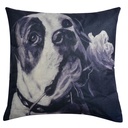 Coussin Multicouleur 43x43x4 cm