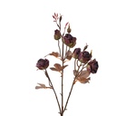 Deko Ast mit Blumen Rot Braun 16x9x73 cm