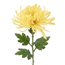 Decoratie tak met bloemen 76 cm