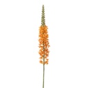 Branche décorative avec fleurs Orange Vert