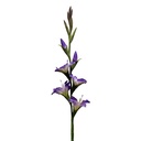 Branche décorative avec fleurs Violet Vert 92 cm