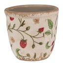 Vaso Porta Pianta Beige, Rosso Ø 11x10 cm