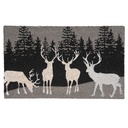 Türmatte Drinnen Grau 75x45x1 cm
