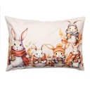 Federe Cuscini Beige Arancio 35x50 cm