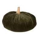 Decorazione Zucca Verde Ø 25x16 cm