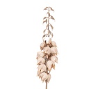 Deko Ast mit Blumen Beige Braun 12x12x100 cm