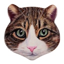 Dessous-de-plat Marron 20x20x1 cm