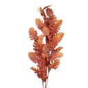 Rami Artificiali Decorativi Arancio Marrone 10x15x108 cm