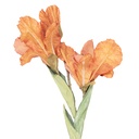 Decoratie tak met bloemen 10x18x85 cm