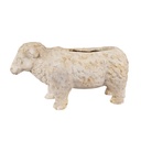 Blumentopf für Innen Beige Braun 48x19x26 cm